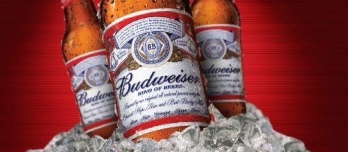 Entro il 2015 la 'KING OF BEERS' Budweiser sarà prodotta con energia eolica (foto: web)