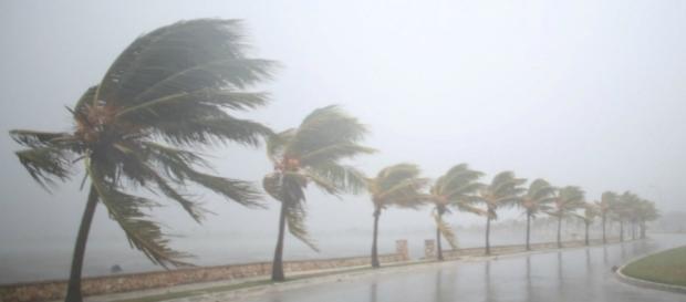 Además de Florida, la alerta por huracán y tormenta tropical se ha extendido hasta Georgia y Carolina del Sur. Además de Florida, la alerta por huracán y tormenta tropical se ha extendido hasta Georgia y Carolina del Sur.