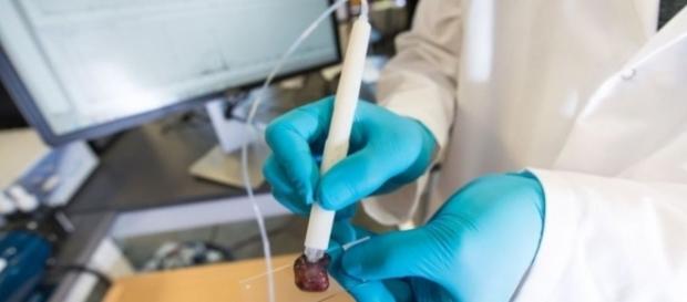 An image of the MasSpec pen. Photograph courtesy of: Vivian Abagiu / University of Texas at Austin An image of the MasSpec pen. Photograph courtesy of: Vivian Abagiu / University of Texas at Austin