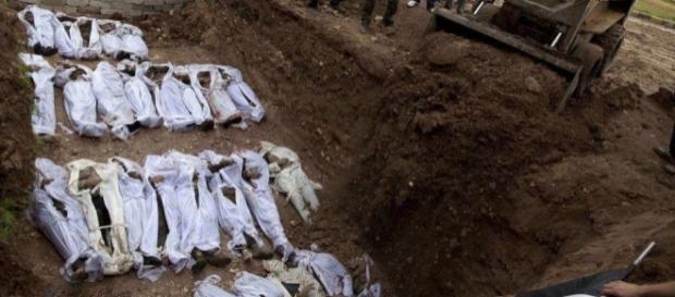 In Scozia è stata scoperta una grande tomba con centinaia di piccoli cadaveri In Scozia è stata scoperta una grande tomba con centinaia di piccoli cadaveri