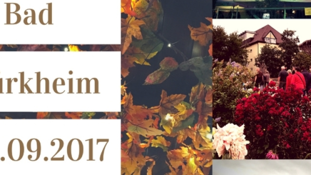 Giornata di apertura del festival del vino a Bad Dürkheim