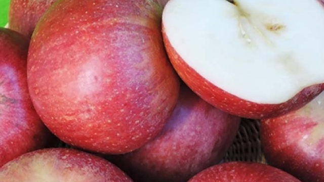 Mela annurca: arriva integratore per bloccare la calvizie - grandenapoli.it