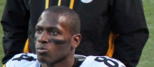 Antonio Brown will find you many points. Jeffrey Beall via Wikimedia Commons
