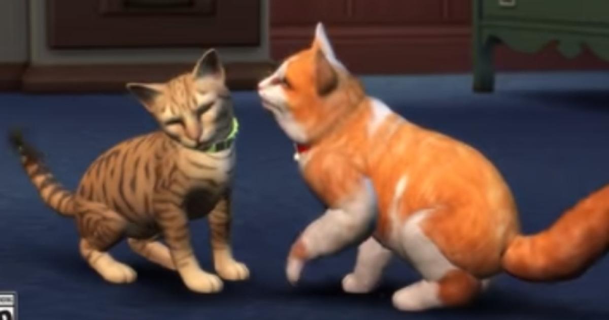 sims 4 cat and dog key generate