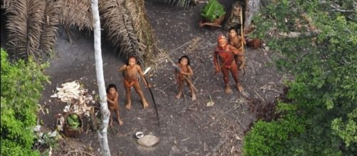 Brazilian massacre of uncontacted natives is nothing new (G.Miranda/Funai/Survival International)