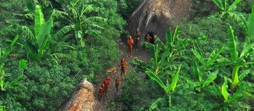 Illegal gold miners have boasted about killing "uncontacted" Amazon tribesmen in Brazil [Image: Wikimedia Agência de Notícias do Acre/CC BY-2.0]