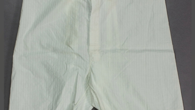 Hitler, mutande all'asta: ritrovate in albergo di Graz.