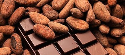 Deforestazione selvaggia per fare spazio alle coltivazioni illegali di cacao