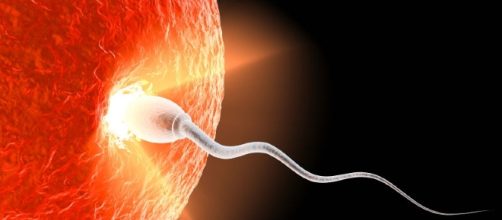 I miti della fertilità - I miti della fertilità - Foto Gallery ... - pianetamamma.it