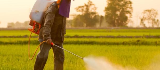 L'herbicide le plus utilisé au monde pourrait entrainer un cancer. - economiematin.fr L'herbicide le plus utilisé au monde pourrait entrainer un cancer. - economiematin.fr