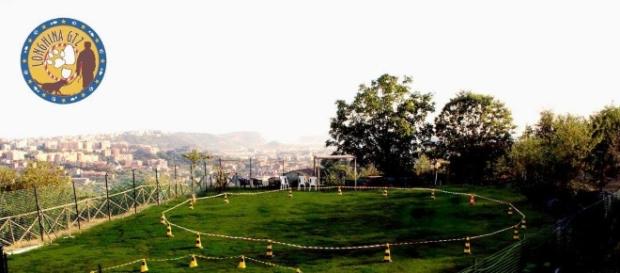 Visione di un campo di Longhina GTZ Visione di un campo di Longhina GTZ