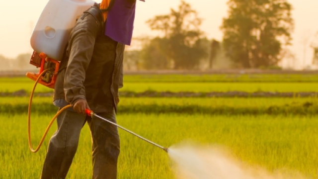 L'herbicide le plus utilisé au monde pourrait entrainer un cancer. - economiematin.fr