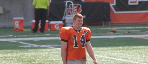 Andy Dalton of the Cincinnati Bengals (Wikimedia Commons/Navin75)