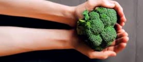 Broccoli e cavoli proteggono l'intestino mediante azione sul microbiota.