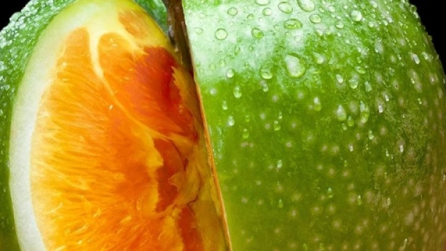 OGM: la Corte UE boccia il Principio di precauzione