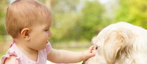 I bambini che crescono con gli animali riducono l'asma