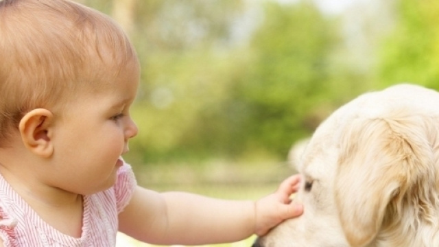 I bambini che crescono con gli animali riducono l'asma