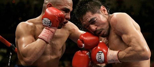 Coups De Poings Dans Le Rétro (chapitre XVII) – Fans De Boxe - wordpress.com Coups De Poings Dans Le Rétro (chapitre XVII) – Fans De Boxe - wordpress.com