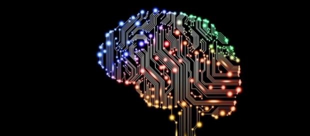 Engenheiros biomédicos fazem feito inédito ao ligar um cérebro à Internet Engenheiros biomédicos fazem feito inédito ao ligar um cérebro à Internet
