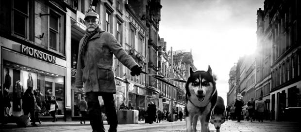 Man's Best Friend | credit, Mister G.C., flick.com Man's Best Friend | credit, Mister G.C., flick.com