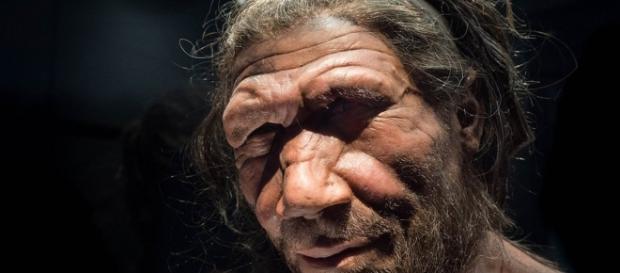 Reconstrução de como seria a aparência do Homem de Neandertal Reconstrução de como seria a aparência do Homem de Neandertal