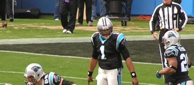 The Carolina Panthers (Wikimedia Commons/AnthonySC1988) The Carolina Panthers (Wikimedia Commons/AnthonySC1988)