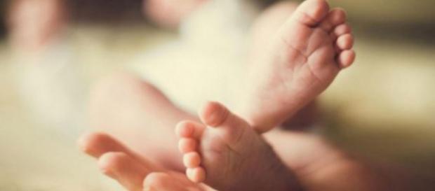 Paloma a nacido libre de la probabilidad de padecer el cáncer de mama que padeció su madre Paloma a nacido libre de la probabilidad de padecer el cáncer de mama que padeció su madre