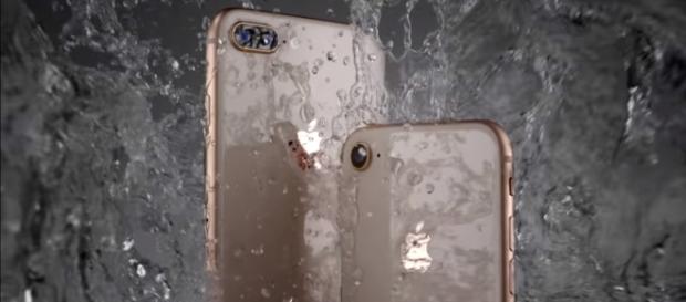 The iPhone 8 and iPhone 8 Plus have a durable glass design. (via TheVerge/Youtube) The iPhone 8 and iPhone 8 Plus have a durable glass design. (via TheVerge/Youtube)