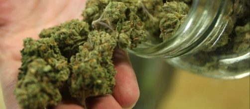13 Strange Facts about Marijuana, DocumentaryTube - documentarytube.com