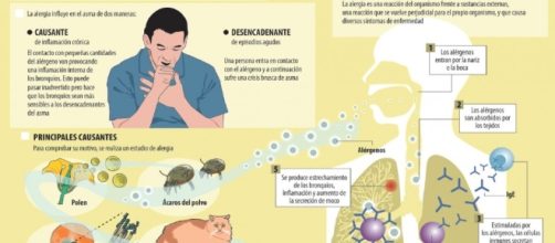 Asma alérgico: Quedarse sin respirar en primavera - Salud Ediciones - saludediciones.com