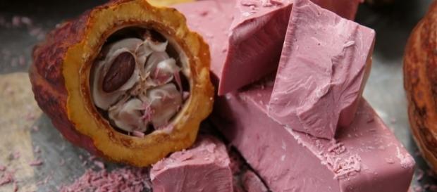 Photograph courtesy of: Barry Callebaut Photograph courtesy of: Barry Callebaut
