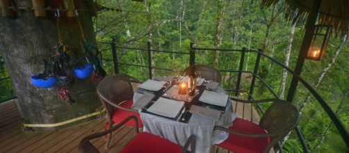 La festa di compleanno di un milardario su un ristorante-albero si è tramutata in tragedia.