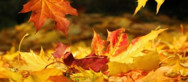 Estate Addio! Con L'Equinozio arriva l'autunno Estate Addio! Con L'Equinozio arriva l'autunno