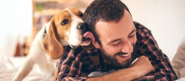 Os cães são capazes de fazer qualquer coisa para chamar a atenção Os cães são capazes de fazer qualquer coisa para chamar a atenção