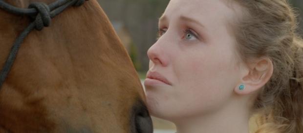'Unbridled' speaks to the healing power that animals can have for people. / Photo via John David Ware and Clint Morris, used with permission. 'Unbridled' speaks to the healing power that animals can have for people. / Photo via John David Ware and Clint Morris, used with permission.