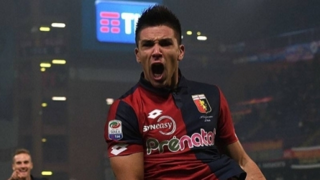 Simeone Genoa, sirene spagnole per l'attaccante - calciomercatonews.com