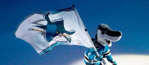 The San Jose Sharks mascot (Wikimedia Commons/pointnshoot on flickr)
