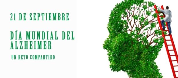 Bienvenidos al nuevo foro de apoyo a  #369 / 30.07.18 ~ 09.10.18 - Página 24 Dia-mundial-del-alzheimer-la-lucha-contra-la-enfermedad-del-olvido_1585053