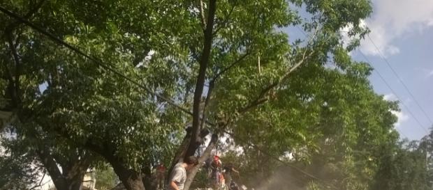 Momentos de tristeza y solidaridad. Momentos de tristeza y solidaridad.