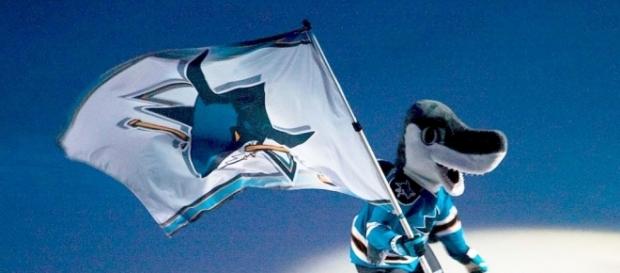 The San Jose Sharks mascot (Wikimedia Commons/pointnshoot on flickr) The San Jose Sharks mascot (Wikimedia Commons/pointnshoot on flickr)
