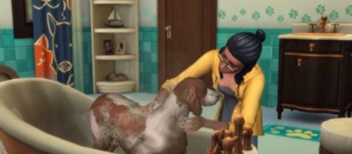 An insider scoop reveals why burglars might not make it to 'The Sims 4.' Image credit - The Sims/YouTube