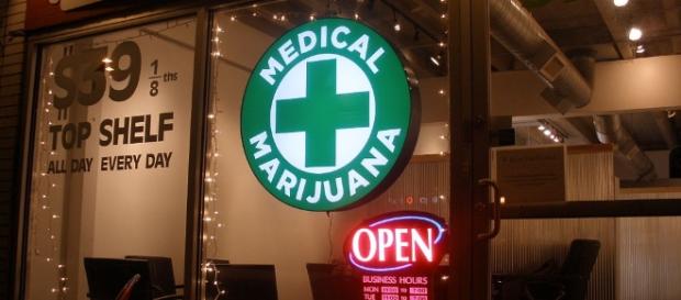 Increase in cannabis use in the US not linked to rising pro-pot policies. (Via Wikimedia Commons/O'Dea) Increase in cannabis use in the US not linked to rising pro-pot policies. (Via Wikimedia Commons/O'Dea)