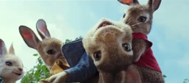 Peter Rabbit Official Trailer #1 (2018) Margot Robbie, Daisy Ridley Animated Movie HD Image - Zero Media | YouTube Peter Rabbit Official Trailer #1 (2018) Margot Robbie, Daisy Ridley Animated Movie HD Image - Zero Media | YouTube