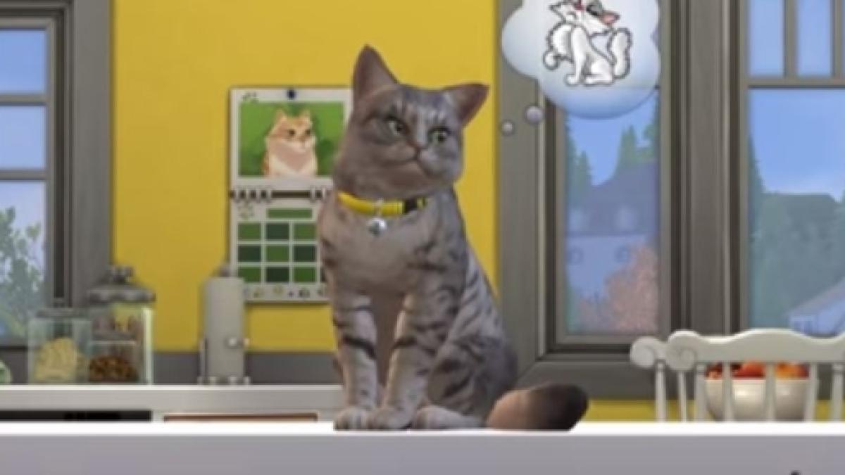 sims 4 cats and dogs dlc