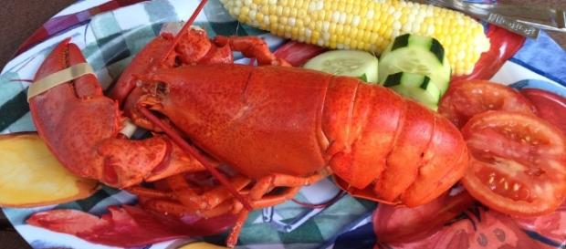 Fish, Dishes - Free pictures on Pixabay -Food, Lobster, Lobster Dinner Fish, Dishes - Free pictures on Pixabay -Food, Lobster, Lobster Dinner