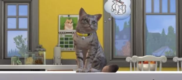 'The Sims 4: Cats & Dogs' listing for Xbox One and PS4 was accidentally leaked by a trusted retailer. The Sims/YouTube 'The Sims 4: Cats & Dogs' listing for Xbox One and PS4 was accidentally leaked by a trusted retailer. The Sims/YouTube
