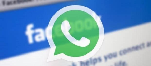 WhatsApp rischia di non poter più fare a meno di Facebook WhatsApp rischia di non poter più fare a meno di Facebook