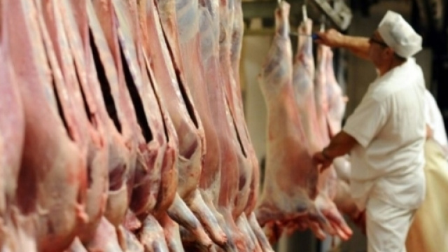 Abattoirs: des «dysfonctionnements majeurs» - liberation.fr