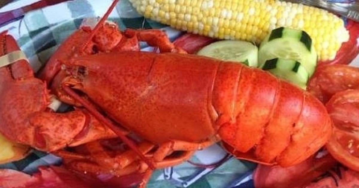 Did you know lobster used to be a food for peasants?