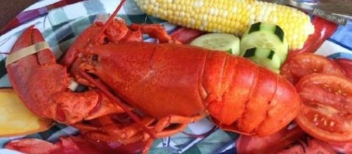 September 25 is National Lobster Day [Image: pixabay.com]